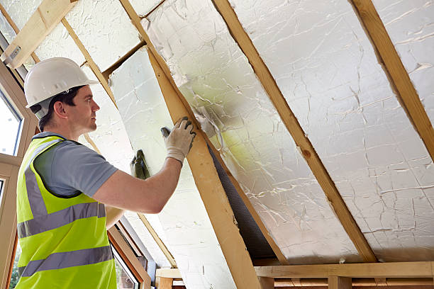 Best Insulation Installation Services in Webster City, IA