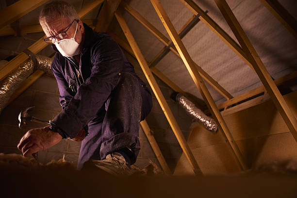 Best Insulation for Specific Applications in Webster City, IA